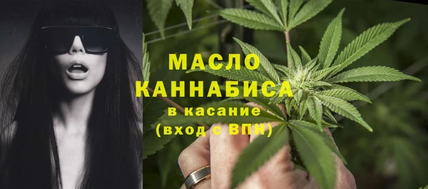 mix Богородицк