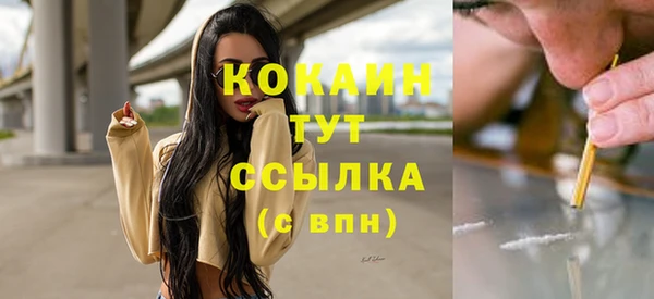mix Богородицк