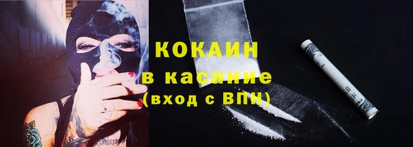 прущие крисы Елизово