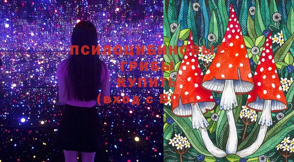 mix Богородицк